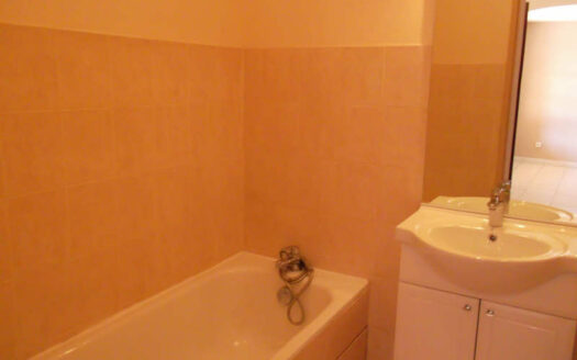 ST MAXIMIN LA STE BAUME – appartement 2 pieces