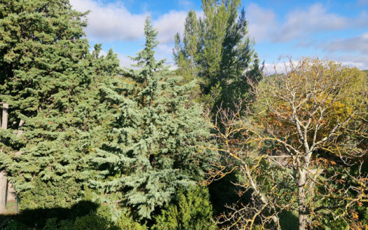 TRETS – appartement 3 pieces